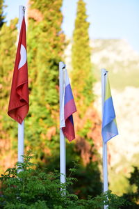 Close-up of flags hanging on field