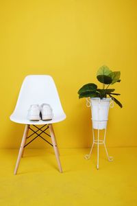 Potted plant on table against yellow wall at home