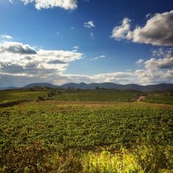 Scenic view of landscape against cloudy sky