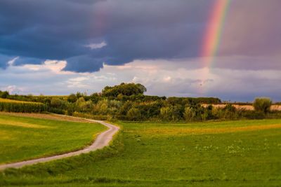 Scenic view of field against sky