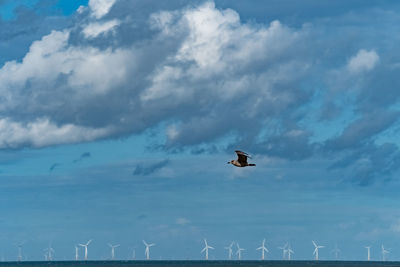 Low angle view of helicopter against sky