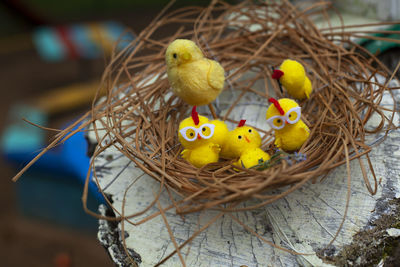 Chickens in the nest. chickens are made of wool. decoration for the yard in kindergarten. 
