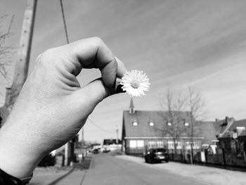 Close-up of human hand holding white flower on street