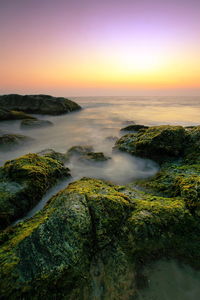 Scenic view of sea at sunset