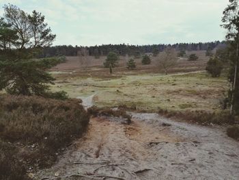 Scenic view of landscape against sky