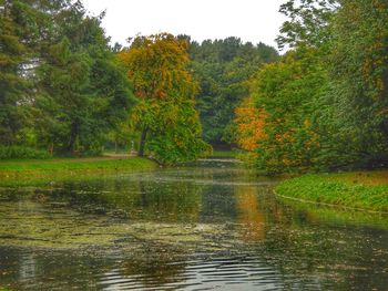 Scenic view of lake in forest during autumn