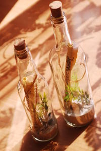 Close-up of herbs in bottles on table