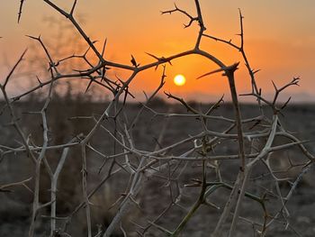 nature