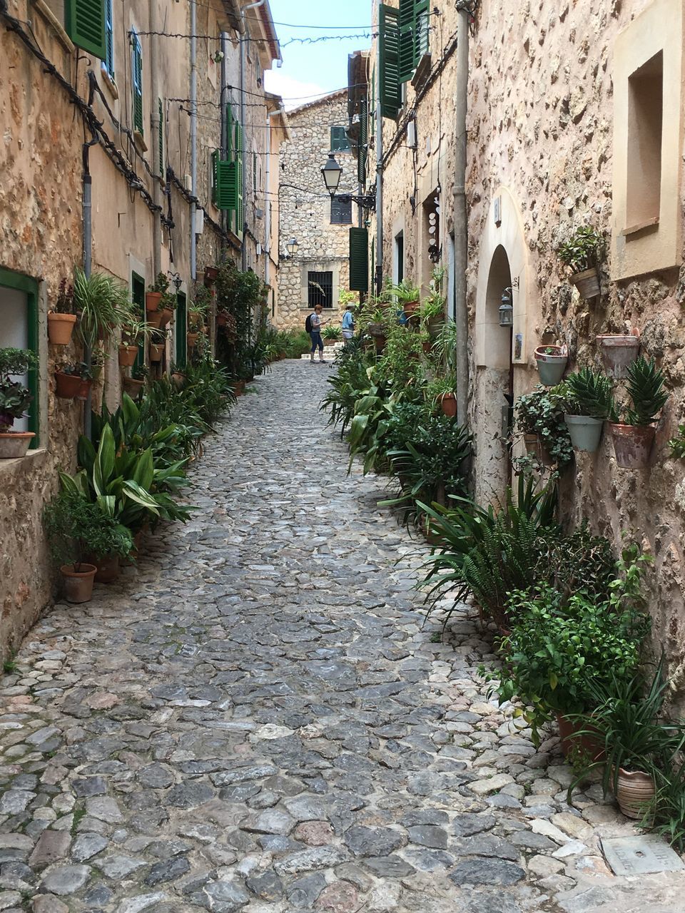 architecture, built structure, building exterior, building, direction, the way forward, residential district, city, footpath, plant, nature, house, street, diminishing perspective, cobblestone, narrow, town, alley, wall, no people, outdoors, long