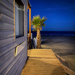 Scenic view of palm plant by sea against sky