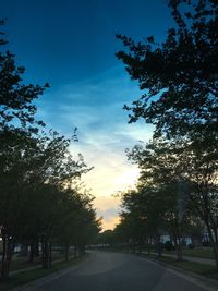 Low angle view of silhouette trees against sky