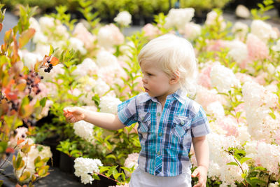 Full length of cute boy on flowering plants