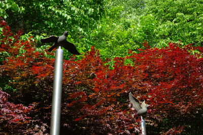 Bird perching on tree