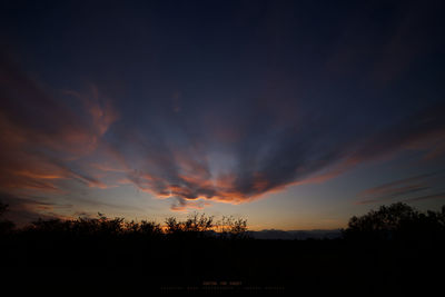 Silhouette trees against sky at sunset
