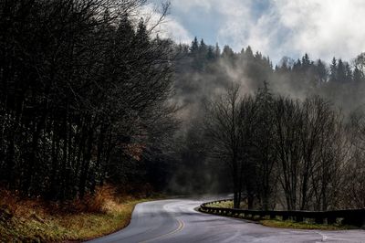 Road amidst trees against sky during winter