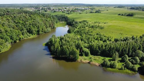 Scenic view of river amidst trees