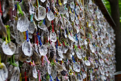 Close-up of padlocks hanging on metal