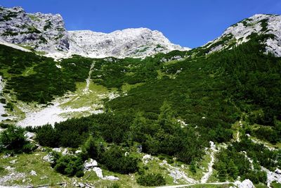 Low angle view of trees and mountains against sky