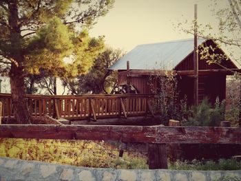 Houses with trees in background