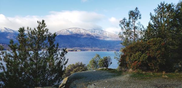 Scenic view of lake by trees against sky