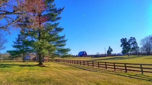 Scenic view of field against clear blue sky