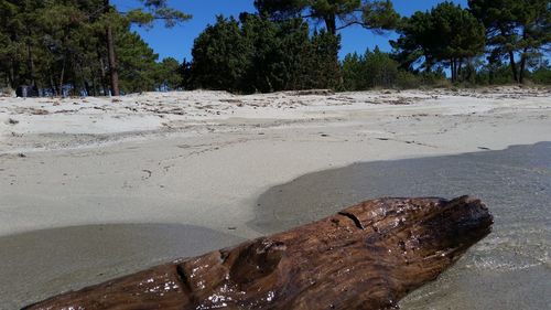 Close-up of beach against sky