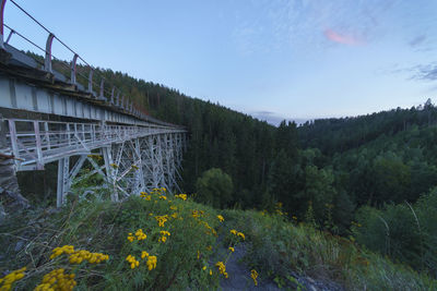 Plants growing on bridge against sky