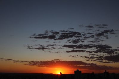 Silhouette of trees at sunset