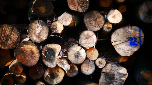 Full frame shot of logs in forest