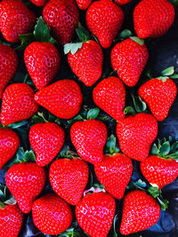 Fresh strawberries from huelva