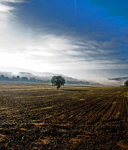 Scenic view of field against cloudy sky