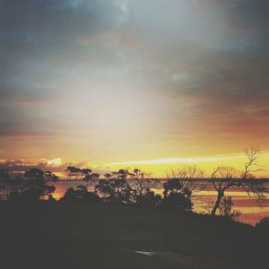 Silhouette trees against sky during sunset