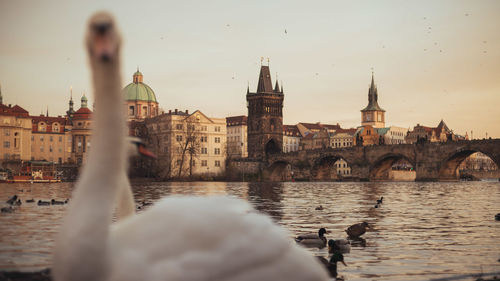 Prague romance