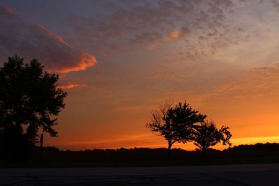 Silhouette trees on landscape against orange sky