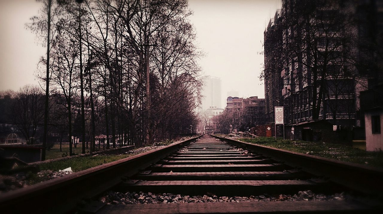 the way forward, tree, diminishing perspective, vanishing point, built structure, architecture, building exterior, transportation, clear sky, railroad track, bare tree, sky, city, outdoors, no people, day, long, growth, railing, nature