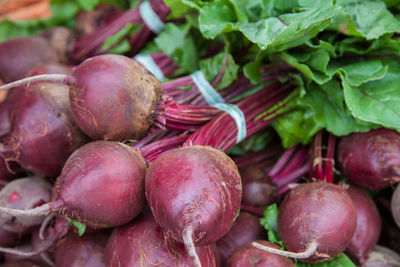 Close-up of radishes for sale at local market