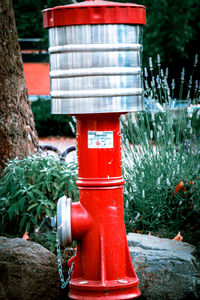 Red fire hydrant in park