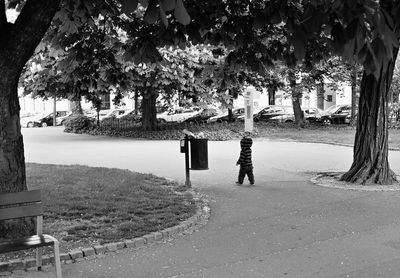 Man and woman walking on road by trees