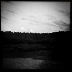 Trees on landscape against cloudy sky