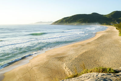 Beautiful view of gamboa beach with its sand, waves, green and crystalline sea.