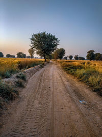 Dirt road amidst trees against clear sky