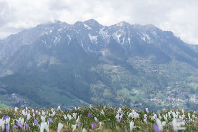 Scenic view of mountains against sky