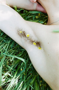 Close-up of woman hand on grass