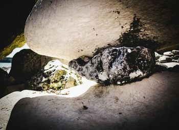 Rocks on shore