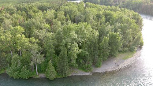 High angle view of river amidst trees in forest