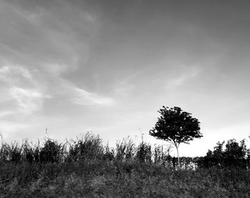 View of field against sky