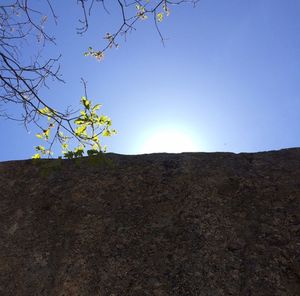 Scenic view of landscape against clear blue sky