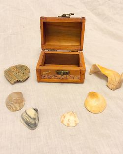 High angle view of seashells with box