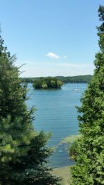 Scenic view of sea and trees against blue sky