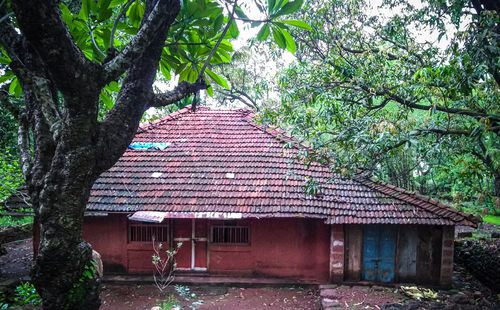 Old house amidst trees and building